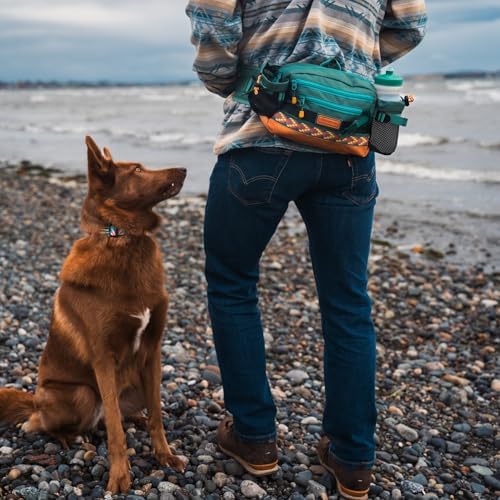 Wilderdog Mega Hip Pack with 3-Liter Capacity, Two Mesh Water Bottle Pockets, Interior Key Loops, Adjustable Straps, and Poop Bag Dispenser (Pacific Blue)
