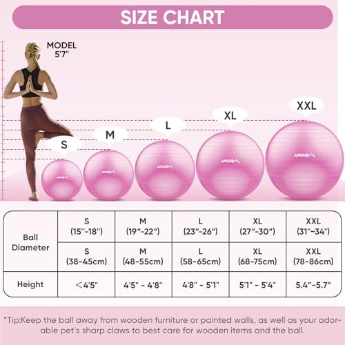 APEXUP Yoga & Pilates Ball - Anti Slip Heavy Duty Gym Ball for Fitness, Balance & Core Workout