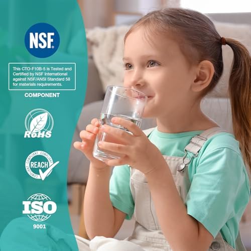 SimPure 5 Micron 10 x 4.5 Inch Whole House Carbon Water Filter | CTO Activated Coconut Carbon Replacement Cartridge | Fits DB10P, DB10C-2, GE GXWH40L, GXWH35F, BB10, FXHTC, FC15B (2Pack)