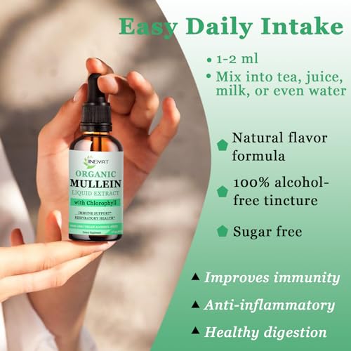 3 Pack JINGYAT Mullein Drops for Lungs | Powerful Mullein Leaf Extract with Chlorophyll, Vitamin C, Cinnamon for Immune Support, Detox & Respiratory Support, Bronchial Support | Non-GMO, Kosher, Gluten-Free