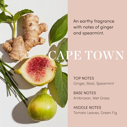 OUAI Scalp Serum - Balancing and Hydrating Serum with Red Clover Extract, Siberian Ginseng and Peptides for Thicker and Fuller-Looking Hair - Paraben, Phthalate and Sulfate Free Scalp Care (2 Fl Oz)