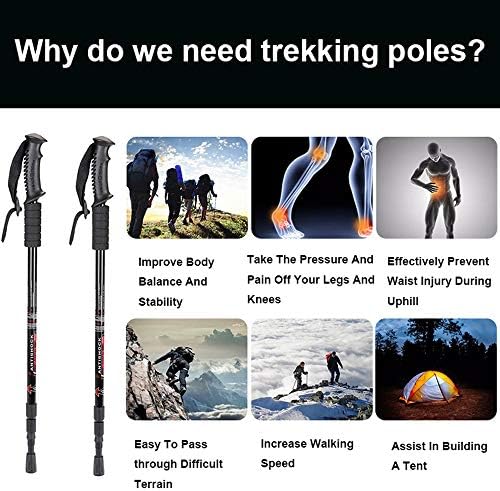 Aihoye Collapsible Trekking Poles - 2 Pack, Lightweight, Anti-Shock Walking Sticks - Adjustable for Men and Women