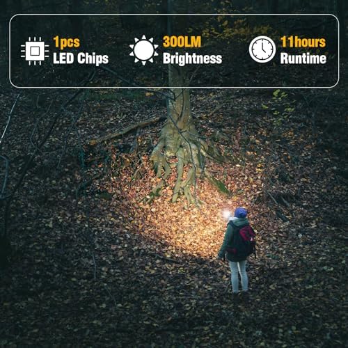 Solar Camping Lantern for Power Outages - USB Rechargeable Lamp Camping Essentials,Collapsible Waterproof Solar Lights for Indoor Outdoor Emergency Light/4 Packs
