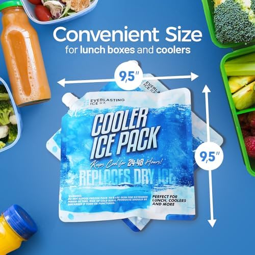 Everlasting Ice RX Reusable Ice Packs for Cooler (4 Pack) Up to 48 Hours Freezer Packs for Coolers and Lunch Boxes | 10 x 10 in | Cooler Ice Packs for Camping, Fishing, Beach, Road Trips