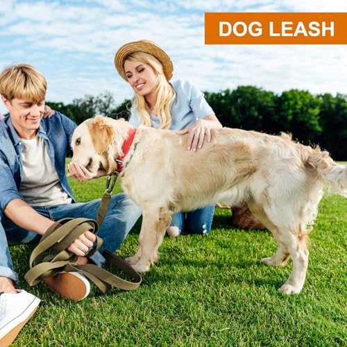 Heavy Duty Locking Carabiner Clips - Favofit 12KN (2697 lbs) Clips 3.2'' Small D Ring for Camping Hammock Hiking Dog Leashes Keys Keychains - Perfect for Outdoor Enthusiasts