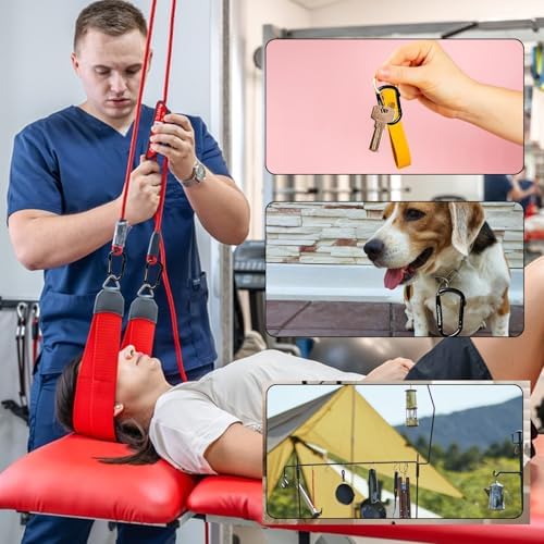 Carabiner Clip - Heavy Duty Carabiners Carabeaner D Ring Shape,Key Chain Clip Hook,Keychain Clip,Multipurpose for Camping, Hiking,Backpacking or Other Outdoor Activities.