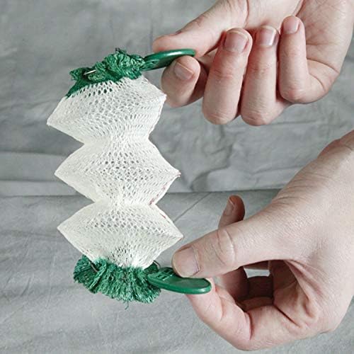 Coleman NorthStar 1500 Lumens Gas Lantern with Matchless Lighting, Folding Propane Lantern with Mantles & Globe for Camping, Power Outage, Outdoor Lighting, & More