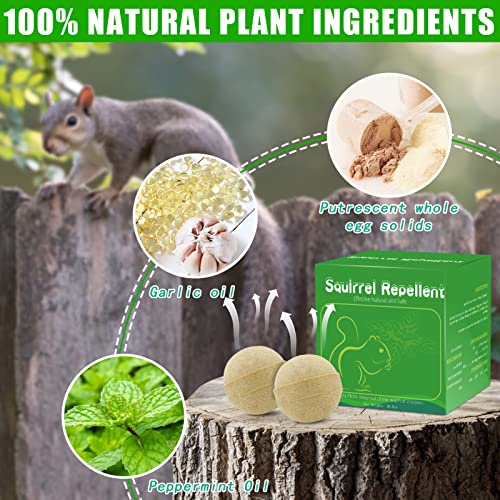 12 Pack Natural Squirrel Repellent for Outdoor Car Yard Garden Plants Indoor Bird Feeder, Peppermint Planted Ingredients Rodent Squirrel Deterrent, Keep Squirrel Mouse Away