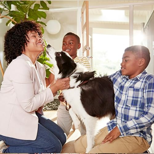 Filtrete 20x20x1 AC Furnace Air Filter, MERV 5, MPR 300, Capture Unwanted Particles, 3-Month Pleated 1-Inch Electrostatic Air Cleaning Filter, 6-Pack (Actual Size 19.69x19.69x0.81 in)