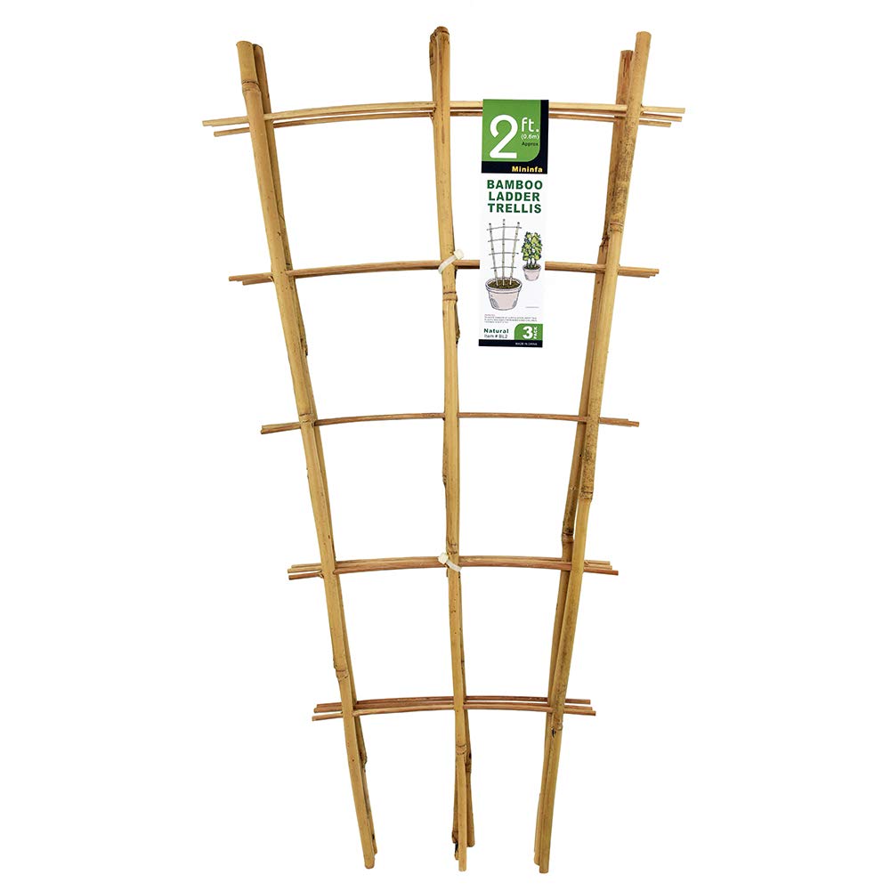 Natural Bamboo Trellis 24 Inches Tall, Mininfa Garden Ladder Trellis, Plant for Climbing Plants, Vegetables, Pots - 3 Pack