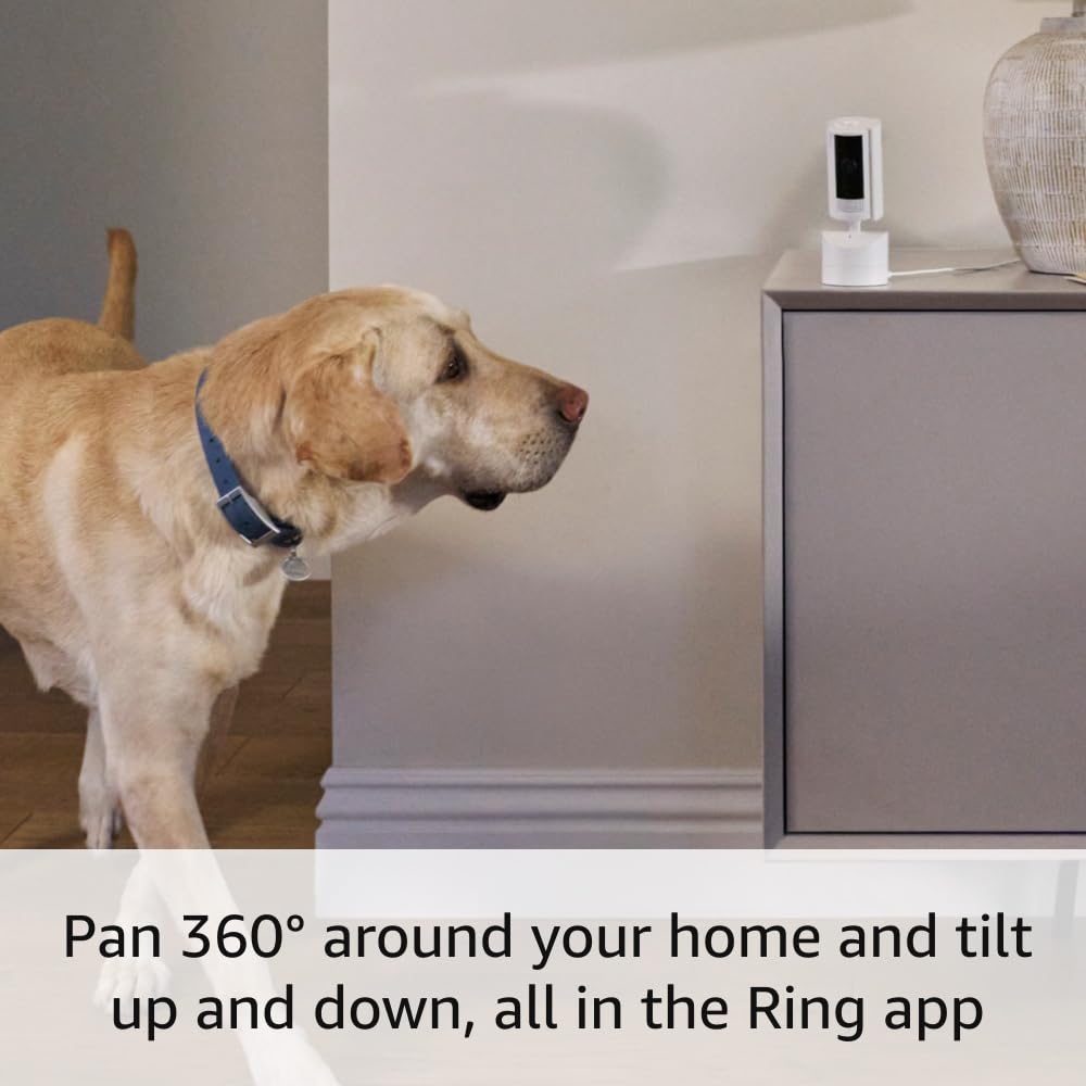 Ring Pan-Tilt Indoor Cam — See all around your home or business with 360° pan coverage, HD video, plus Two-Way Talk (2024 release), Black