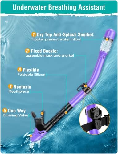 Snorkel Set Adults Snorkeling Gear Anti-Fog Panoramic View Swim Mask Dry Top Snorkel Kit with Carry Bag for Snorkeling Scuba Diving Swimming Travel