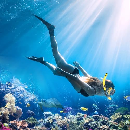 Snorkeling Gear for Adults, Dry-Top Snorkel Set Scuba Diving mask, 180°Panoramic Wide View Professional Snorkeling Gear Breathing Freely Snorkel Mask