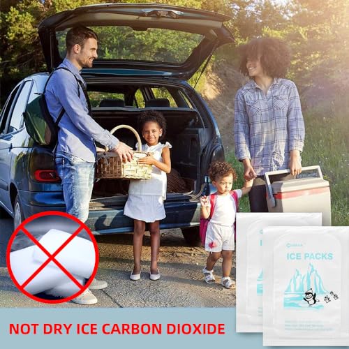 WORLD-BIO Dry Ice for Shipping Frozen Food & Travel, Long Lasting Cold Packs for Cooler 96 Packs 4.7" x 3.3", Small Freezer Packs for Shipping, Bulk Reusable Dry Ice Packs Cool Pack for Shipping