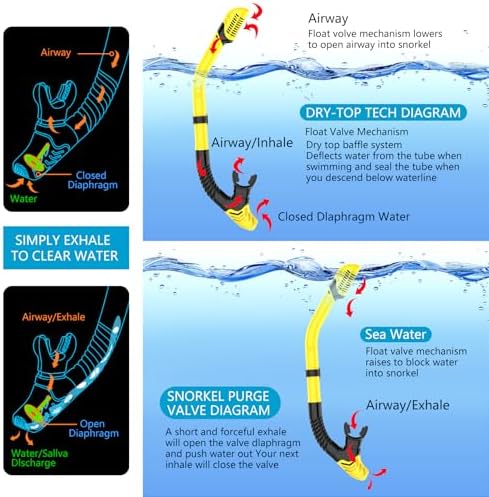 Snorkeling Gear for Adults, Dry-Top Snorkel Set Scuba Diving mask, 180°Panoramic Wide View Professional Snorkeling Gear Breathing Freely Snorkel Mask