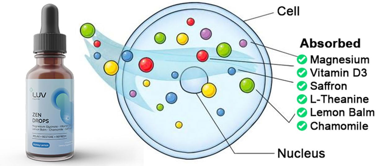 LUV Zen Drops – Botanical Liquid Blend with Magnesium Glycinate, Vitamin D3 & Herbal Extracts for Everyday Balance – Vegan, Non-GMO, USA Made, 30 Servings