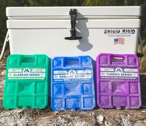 Arctic Ice Alaskan Series Long Lasting Reusable Ice Pack - Freezes at 32° Fahrenheit - Keeps Food & Drinks Cool Without The Risk of Freezing