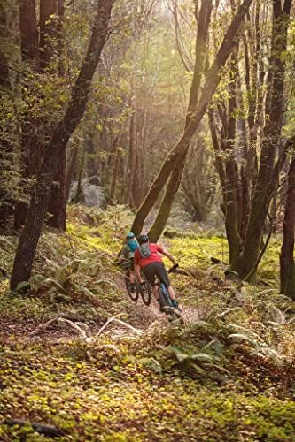 CamelBak Rogue Light Bike Hydration Pack 70oz