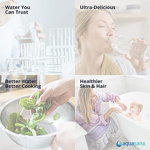 Aquasana EQ-304 Replacement 10-Inch, Sediment Pre-filters for Whole House Water Filter Systems, White, 4 Count (Pack of 1)