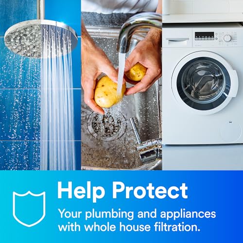 Aqua-Pure ap117 Model AP117NP 5541705 Whole House Standard Diameter Replacement Filter (Pack of 2)