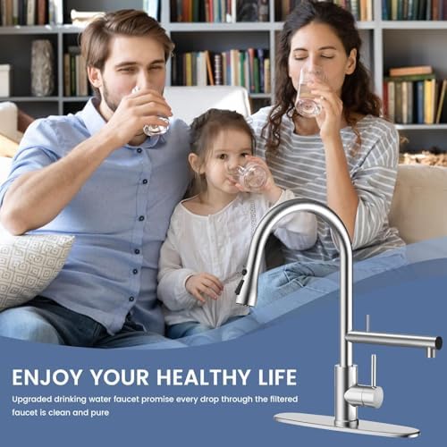 FEELSO Kitchen Faucets, Upgraded Filter Water Kitchen Faucet with Pull Down Sprayer, Brushed Nickel Stainless Steel High Arc 1 Or 3 Hole Kitchen Sink Faucet for Remove Chorine, Harmful Substances