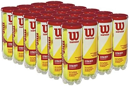 WILSON Championship Tennis Balls