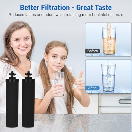 NSF/ANSI 42 Certified Black Purification Elements, for BB9-2® Water Filters Replacement, Compatible with Berkey Gravity Filtration System, Replacement for Berkey Black Filter, Pack of 2