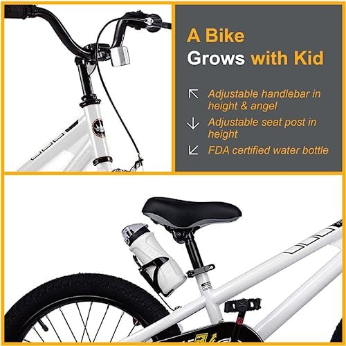RoyalBaby Kids Bike EZ Freestyle Training Free Balance to Pedal Easy Learning Bicycle, 12-18 Inch for Toddlers to Big Kids