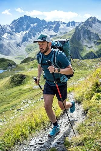 MSR DynaLock Ascent Foldable Carbon Backcountry Trekking Poles