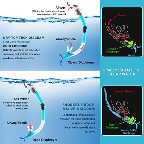 ZEEPORTE Mask Fin Snorkel Set, Travel Size Snorkeling Gear for Adults with Panoramic View Anti-Fog Mask, Trek Fins, Dry Top Snorkel and Gear Bag for Swimming Training, Snorkeling Kit Diving Packages