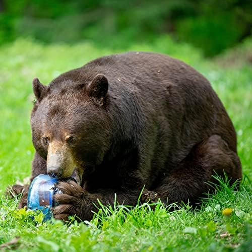 Canister for Backpacking. 4 Sizes: BV500, BV475, BV450, BV425. Bear-Resistant Food Container for Camping, Hiking, Fishing, Hunting, Bikepacking. BearVault is Bear Safe!