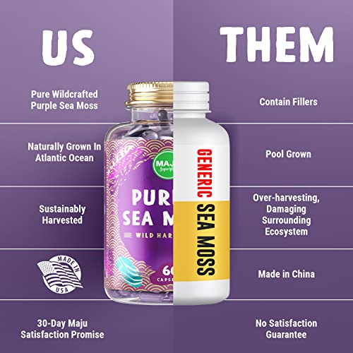 MAJU's Powerful Purple Sea Moss Capsules (60 ct), Extra-Strength Purple Minerals, Chondrus Crispus, Stronger Than Gel, Compare to Organic Irish Seamoss Capsule, Wild Harvested Powder Pills
