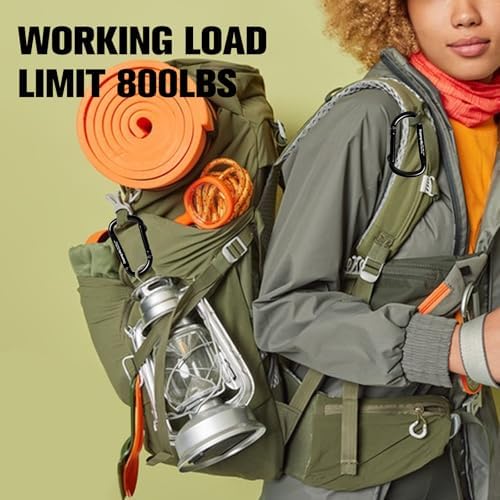 Carabiner Clip - Heavy Duty Carabiners Carabeaner D Ring Shape,Key Chain Clip Hook,Keychain Clip,Multipurpose for Camping, Hiking,Backpacking or Other Outdoor Activities.