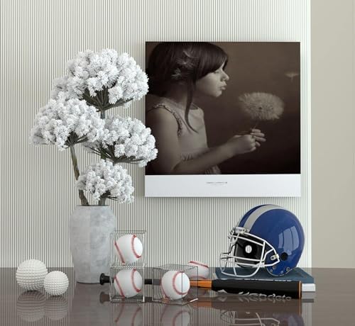 12 Pack Baseball Display Case UV Protected Acrylic Clear Baseball Holder Square Cube Ball Protector Memorabilia Autograph Display Box for Official Size Baseball