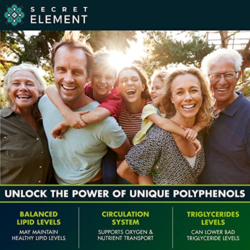 SECRET ELEMENT Citrus Bergamot Extract 1000mg - Organic Citrus Bergamot Supplement for Heart, Immune System Support, and Healthy Aging - Pure, Vegan Bergamot Capsules