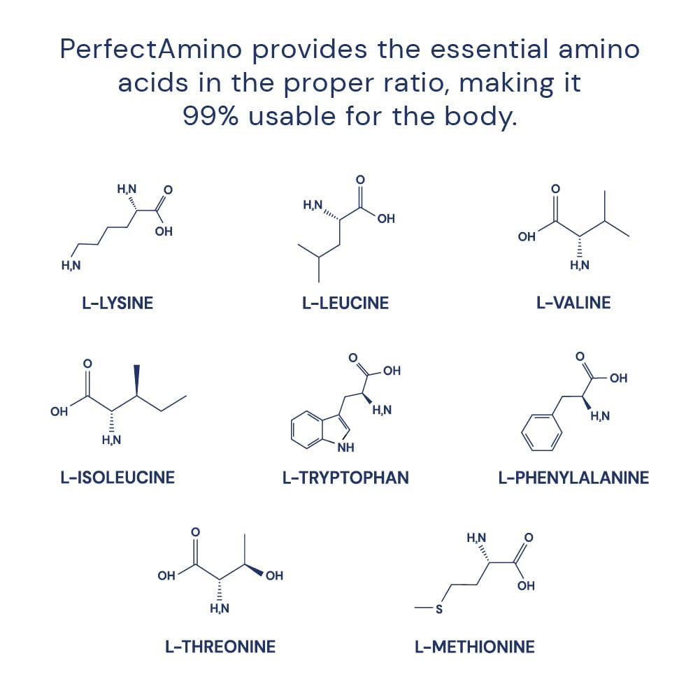 BodyHealth PerfectAmino Powder - BCAA and EAA Powder for Pre and Post Workout - Amino Acid Energy Drink for Men and Women to Support Lean Muscle and Recovery - Strawberry - 60 Servings