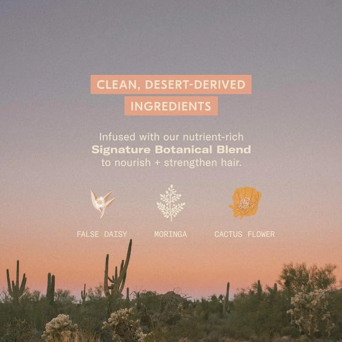 DAE Hair Tool Box (3-In-1 Styling Cream, Fairy Duster Dry Shampoo, Signature Shampoo & Signature Conditioner)