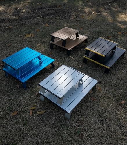 iClimb Ultralight Compact Mini Beach Picnic Folding Alu. Table with Carry Bag, Two Size (Black - S)