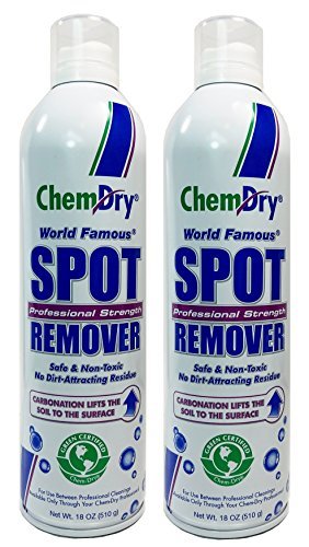 Chem-Dry's Carpet Stain Extinguisher Carbonated Spot Remover, 18-Oz by Chem-Dry