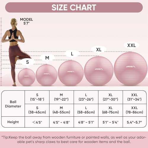 APEXUP Yoga & Pilates Ball - Anti Slip Heavy Duty Gym Ball for Fitness, Balance & Core Workout