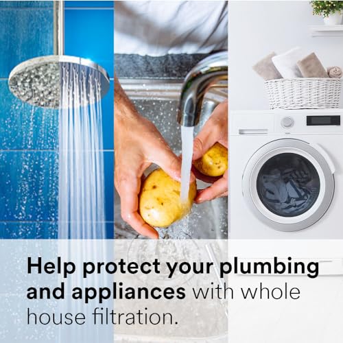 Aqua-Pure ap117 Model AP117NP 5541705 Whole House Standard Diameter Replacement Filter (Pack of 2)