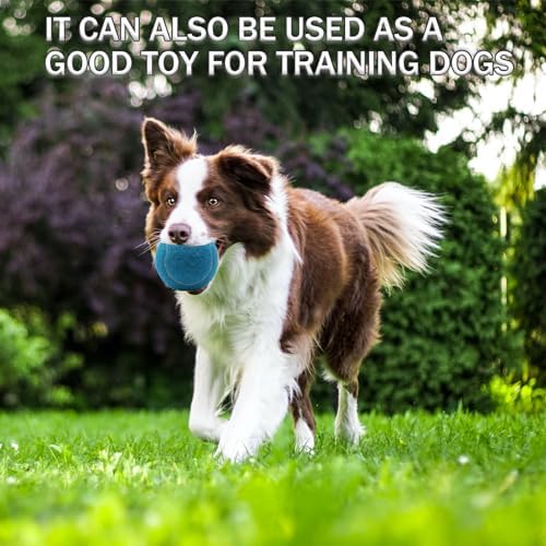 Tennis Balls, 20 Pack Training Tennis Balls,High Elasticity Practice Tennis for Beginner, Exercise Playing Balls for Pet Dog