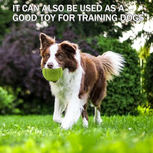 Tennis Balls, 20 Pack Training Tennis Balls,High Elasticity Practice Tennis for Beginner, Exercise Playing Balls for Pet Dog