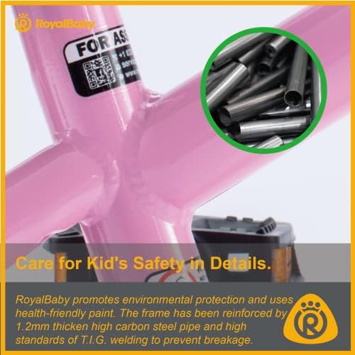 RoyalBaby Kids Bike EZ Freestyle Training Free Balance to Pedal Easy Learning Bicycle, 12-18 Inch for Toddlers to Big Kids