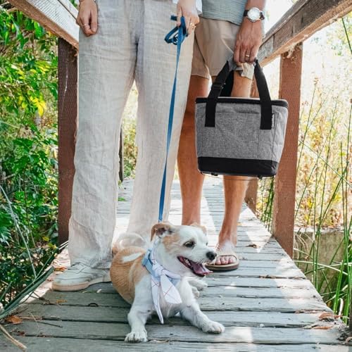 CleverMade Tahoe Collapsible Insulated Cooler Bag – 18 Can Leakproof Soft Cooler for Beach, Travel, Car – Bottle Opener – Cool Gray/Midnight