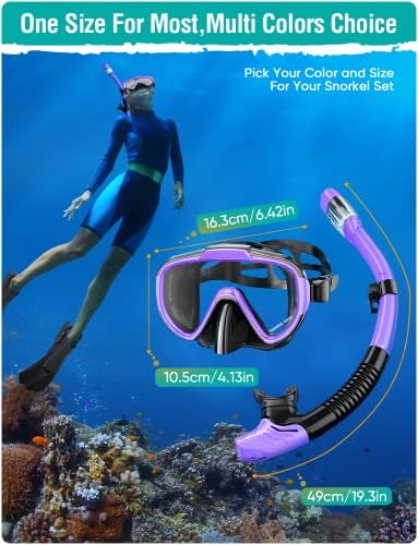 Snorkel Set Adults Snorkeling Gear Anti-Fog Panoramic View Swim Mask Dry Top Snorkel Kit with Carry Bag for Snorkeling Scuba Diving Swimming Travel
