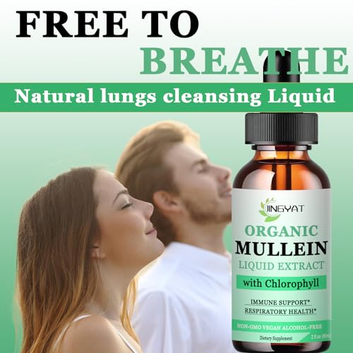 3 Pack JINGYAT Mullein Drops for Lungs | Powerful Mullein Leaf Extract with Chlorophyll, Vitamin C, Cinnamon for Immune Support, Detox & Respiratory Support, Bronchial Support | Non-GMO, Kosher, Gluten-Free