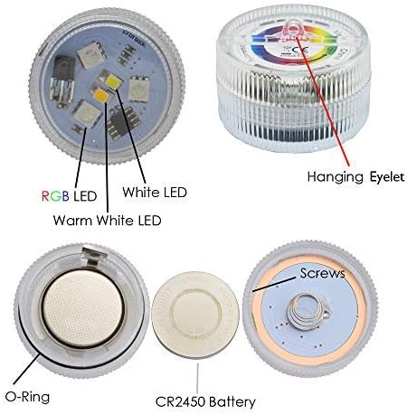 Paper Lantern Battery Operated Remote Hanging LED Lights with Hook - Super Bright RGB White Warm White, 15 Days Standby, 36 Hours Constant On for Tent Lighting (10 Lights + 2 Remotes)