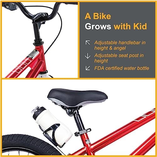 RoyalBaby Kids Bike EZ Freestyle Training Free Balance to Pedal Easy Learning Bicycle, 12-18 Inch for Toddlers to Big Kids