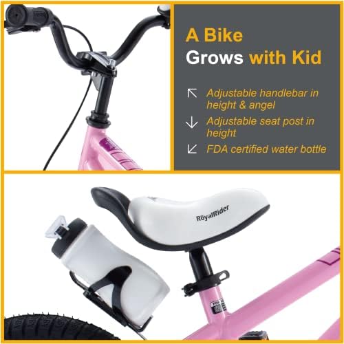 RoyalBaby Kids Bike EZ Freestyle Training Free Balance to Pedal Easy Learning Bicycle, 12-18 Inch for Toddlers to Big Kids